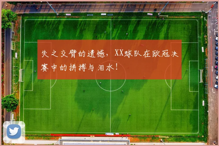 失之交臂的遗憾，XX球队在欧冠决赛中的拼搏与泪水！